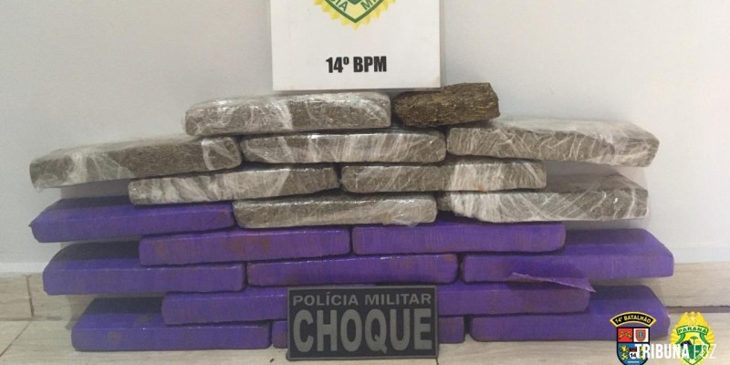 CHOQUE apreende maconha com passageiro na rodoviária de Foz do Iguaçu