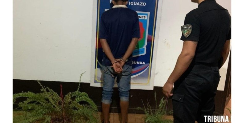 Policia de Puerto Iguazu prende homem que furtou plantas de um comercio