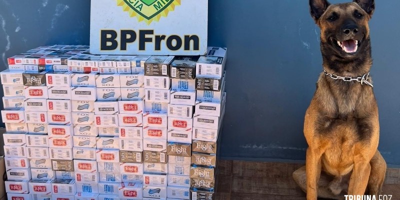 BPFRON apreende cigarro em residência na cidade de Santa Helena