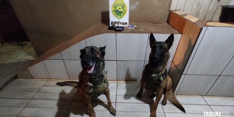 BPFRON encaminha três pessoas por posse de drogas em Marechal Cândido Rondon