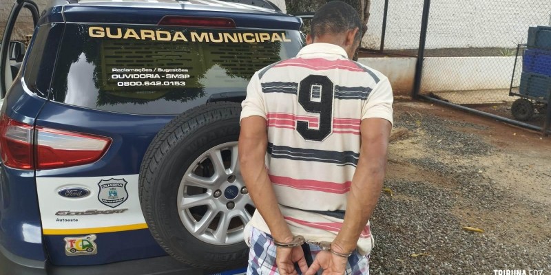 Guarda Municipal cumpre mandado de prisão no Porto Meira