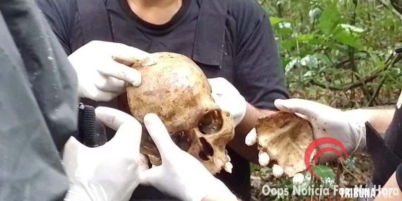 Ossada humana é encontrada em área rural de Foz do Iguaçu