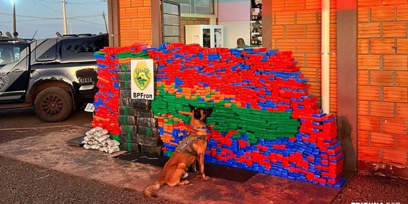 BPFRON apreende 1.312 Kg de maconha em São José das Palmeiras