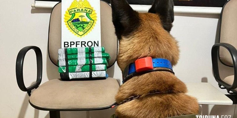 BPFRON apreende drogas em Entre Rios do Oeste