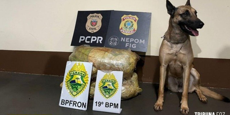 Uma pessoa é presa com drogas em distrito de Santa Helena
