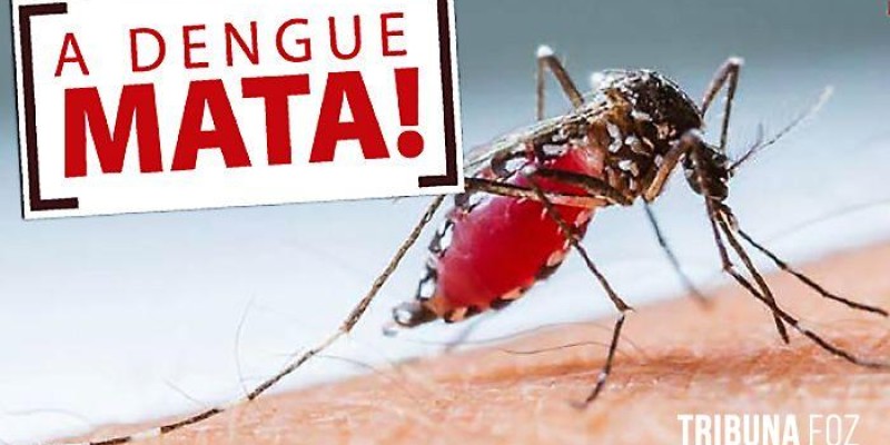 Autoridades de saúde de Foz do Iguaçu confirmam  19º óbito por dengue em 2023