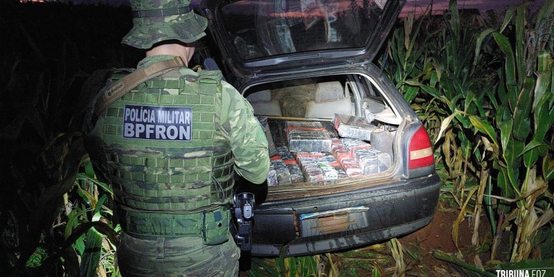 BPFRON apreende mais de 218,6 Kg de maconha em Santa Helena