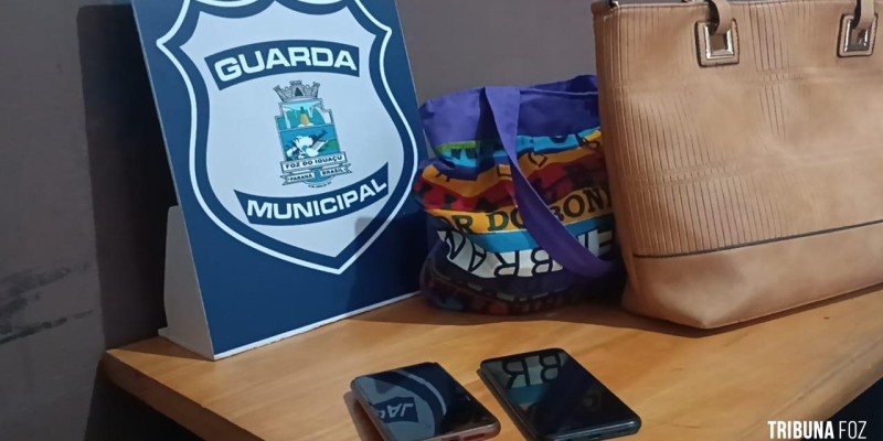 Guarda Municipal prende ladrão em flagrante na Vila C
