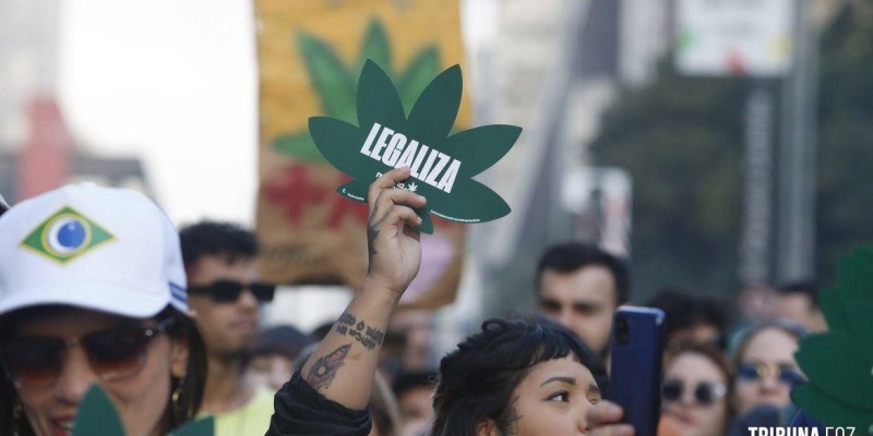 Legalização da maconha no Uruguai derrubou mitos que pautaram debate