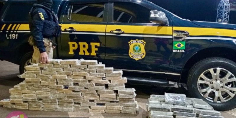 PRF no Paraná bate recorde histórico em apreensão de maconha