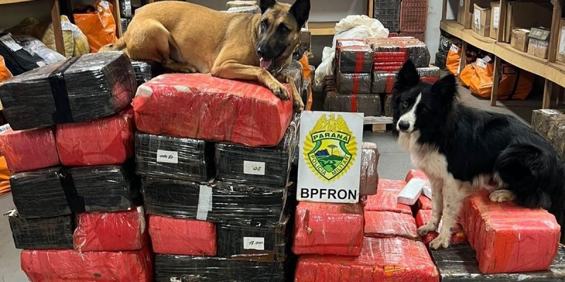 BPFRON apreende 914 Kg de maconha em Santa Helena