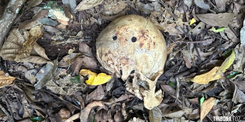 Ossada humana é encontrada no Parque Nacional do Iguaçu