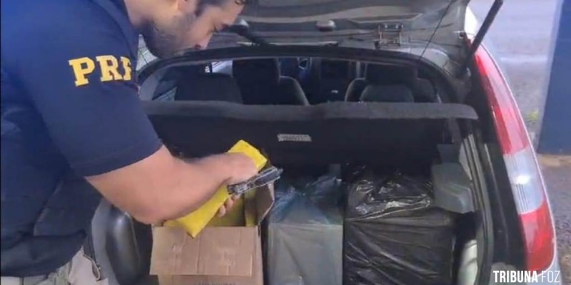 Foragido da justiça é preso com 101,1 Kg de maconha na BR-277