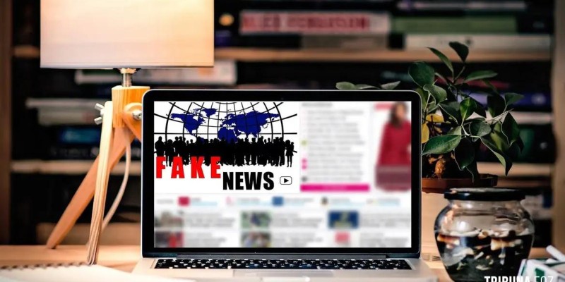 Quase 90% dos brasileiros admitem ter acreditado em fake news