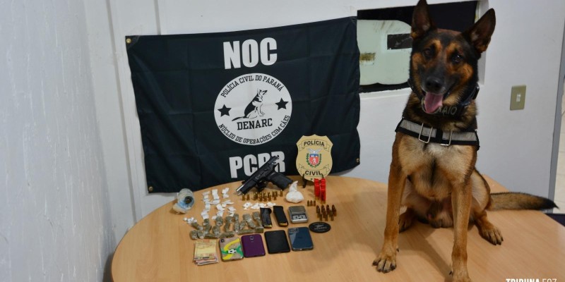 Policia Civil deflagra operação policial em Foz do Iguaçu