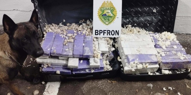 BPFRON prende mulher transportando 66 Kg de maconha em ônibus