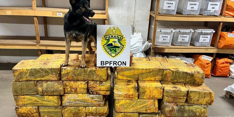 BPFRON apreende 1006,8 Kg maconha em Santa Helena