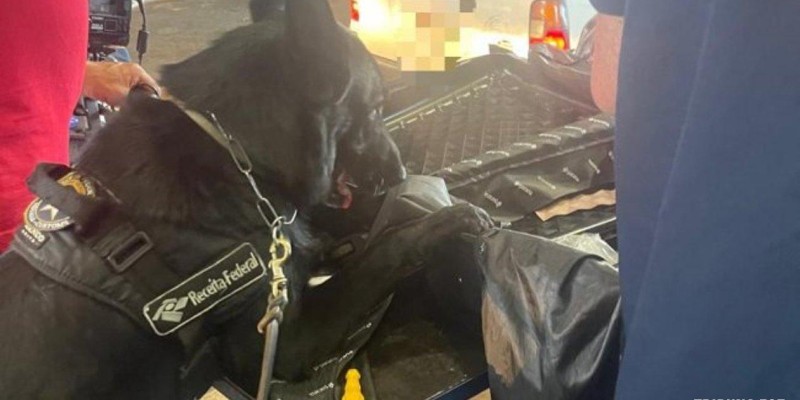 Receita Federal apreende 5 Kg de haxixe em Foz do Iguaçu