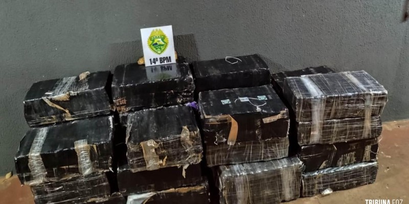 PM apreende 695,44 Kg de maconha na Favela da Sadia