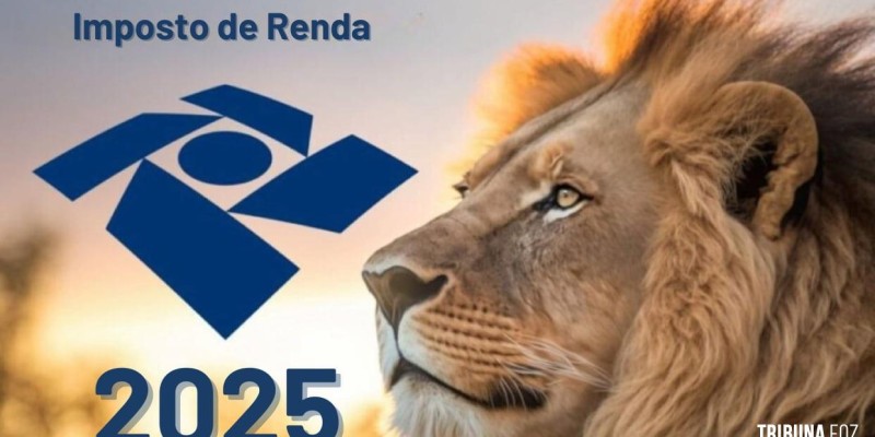 Saiba o que acontece com quem não declara o Imposto de Renda