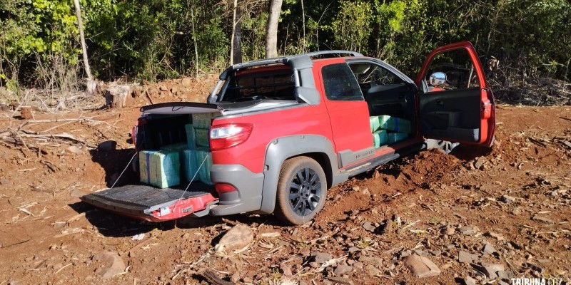 Policia Federal apreende 800 Kg de maconha em Santa Helena