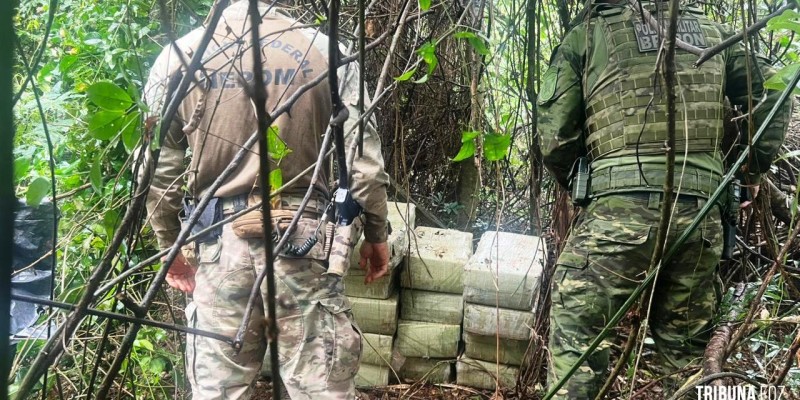 PF, PC e PM apreendem 272 Kg de maconha em Santa Helena