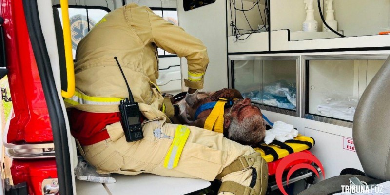 Idoso cai, é encontrado no dia seguinte e socorrido pelo Siate 