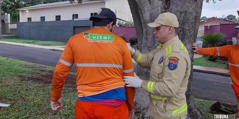 Gari é atropelado por veículo na Vila Yolanda