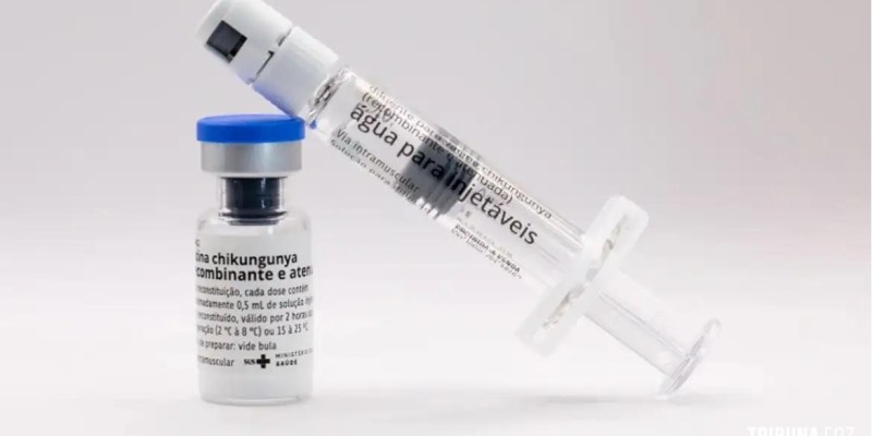 Butantan vai produzir vacina nacional contra chikungunya