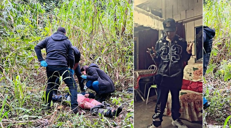 Identificado corpo do jovem morto em matagal no Porto Meira