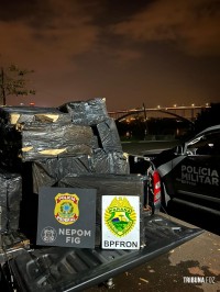 BPFRON e PF apreendem 1000 pacotes de cigarros contrabandeados em Foz