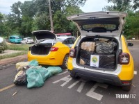 Polícia Militar apreende 164 Kg de maconha no Jardim Califórnia