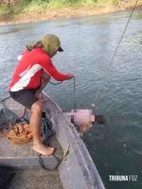 Policia paraguaia resgata corpo que "boaiava" no Rio Paraná