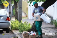 Descarte correto de resíduos é a melhor opção para uma cidade limpa e saudável