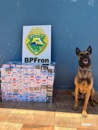 BPFRON apreende cigarro em residência na cidade de Santa Helena