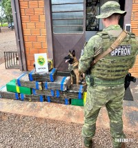 BPFRON apreende carro carregado com drogas em Pato Bragado