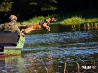Cães policiais estagiários do BPFRON são efetivados no canil da PMPR