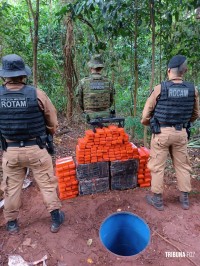 BPFRON e ROCAM apreende drogas e assessório para armas em Cianorte