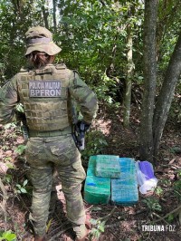 BPFRON apreende 45 Kg de substância análoga à maconha em Guaíra