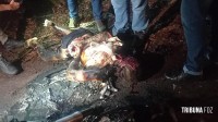 Motociclista é encontrado incinerado com 17 tiros no final da Av. República Argentina