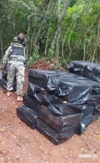 Marinha do Paraguai apreende 48 mil maços de cigarros no Lago de Itaipu