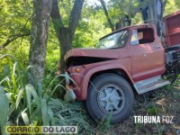 Motorista de caminhão perde o controle e bate em árvore na entre Missal e São Miguel do Iguaçu