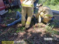 Motorista de caminhão perde o controle e bate em árvore na entre Missal e São Miguel do Iguaçu