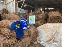 PM, MAPA e ADAPAR apreendem aproximadamente 18 toneladas de Fumo em Santo Antonio do Sudoeste