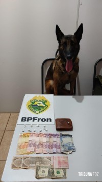 BPFRON apreende droga com indivíduo em Marechal Cândido Rondon 