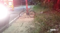 Ciclista é socorrido pelo Siate após colidir contra um poste na Av. Irio Maganelli