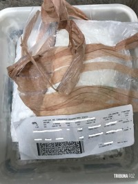 PF prende casal de paraguaios com 2,385 Kg de cocaína no Aeroporto de Foz do Iguaçu