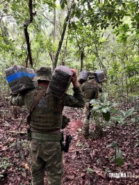 BPFRON apreende 191,7 Kg de maconha em Santa Helena