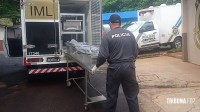 Assaltante morre em confronto armado com o CHOQUE no Bairro Três Lagoas