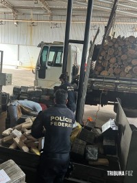 Policia Federal destrói mais de 8 toneladas de drogas apreendidas na região de Foz do Iguaçu